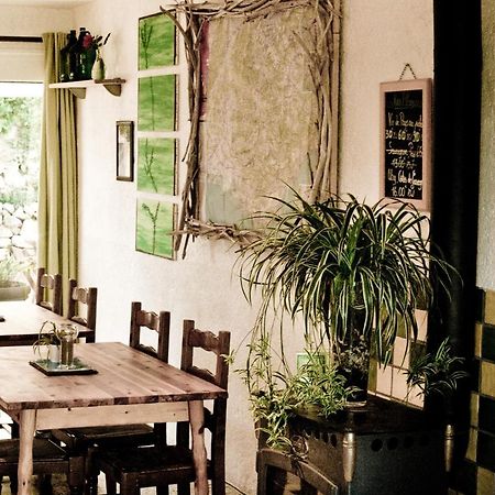 Gite De La Baume , Aux Delices Du Verdon Castellane Dış mekan fotoğraf